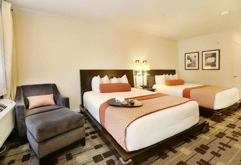 The Zen Hotel  | Palo Alto | California | United States 14