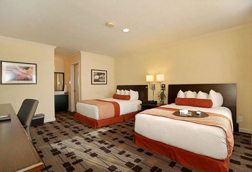 The Zen Hotel  | Palo Alto | California | United States 18