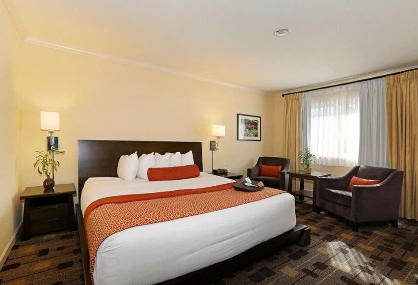 The Zen Hotel  | Palo Alto | California | United States 19