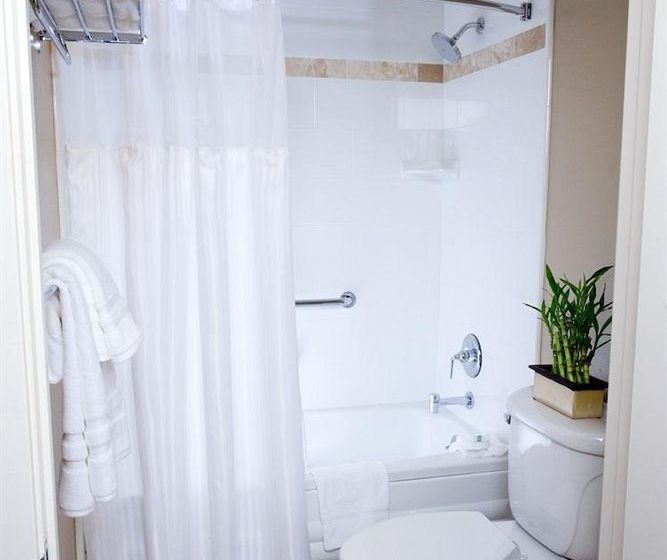 The Zen Hotel  | Palo Alto | California | United States 2