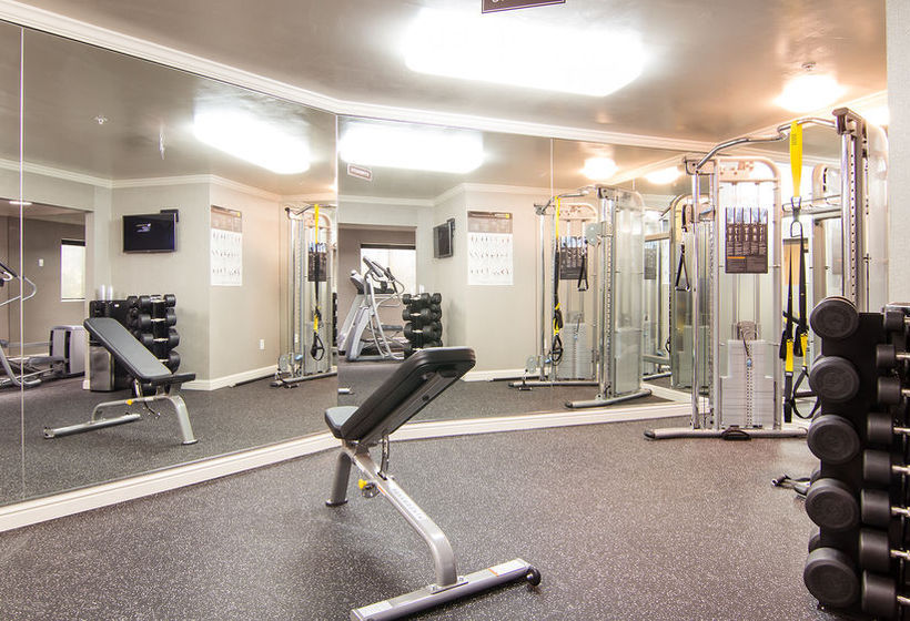 The Zen Hotel  | Palo Alto | California | United States 3