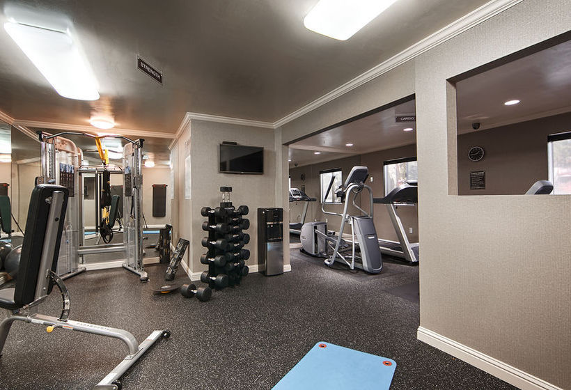 The Zen Hotel  | Palo Alto | California | United States 9