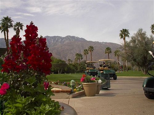 Hotel Mesquite Country Club  | Palm Springs | California | United States 9