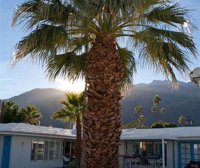 Hotel Palm Springs Rendezvous  | Palm Springs | California | United States 10