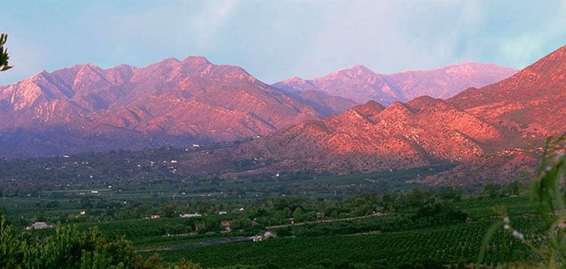 Hotel Hummingbird Inn  | Ojai | California | United States 4