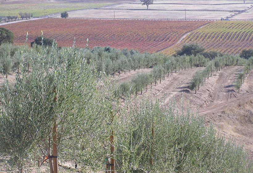 Bed and Breakfast Alta Cresta Orchard Inn Paso Robles