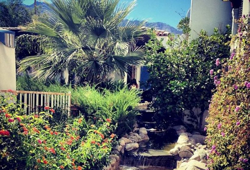 Hotel Mediterraneo Resort   | Palm Springs | California | United States 13