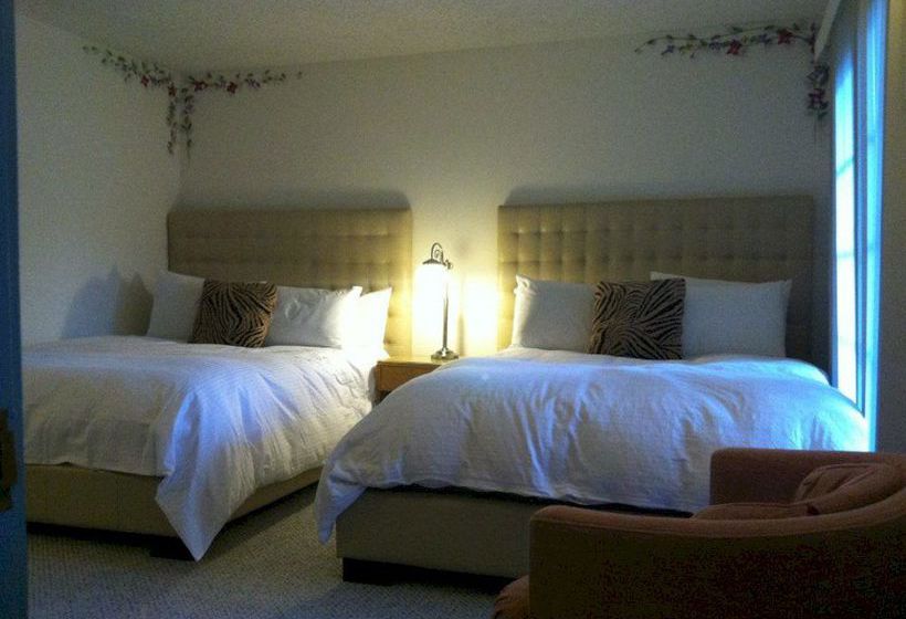 Hotel Mediterraneo Resort   | Palm Springs | California | United States 16