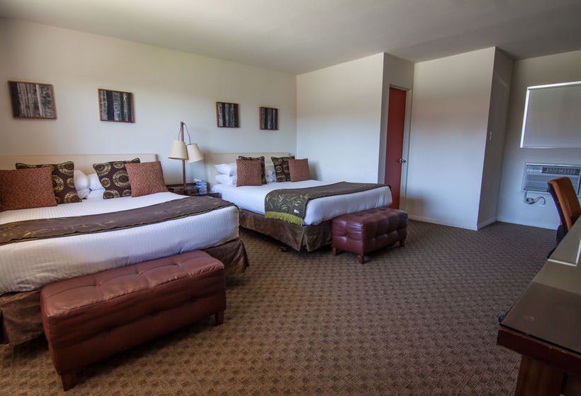 Hotel Camp Palm Springs  | Palm Springs | California | United States 17