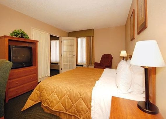 Hotel Comfort Inn Palm Springs  | Palm Springs | California | United States 12