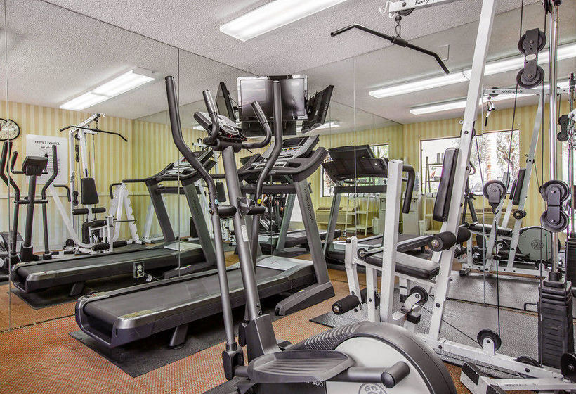 Hotel Quality Inn Palm Springs  | Palm Springs | California | United States 10