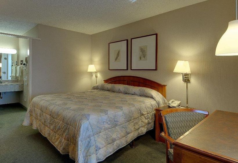 Hotel Vagabond Inn  | Oxnard | California | United States 5