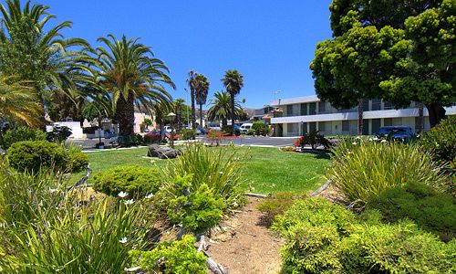 Hotel Vagabond Inn  | Oxnard | California | United States 9