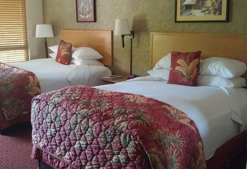 Caliente Tropics Hotel  | Palm Springs | California | United States 2