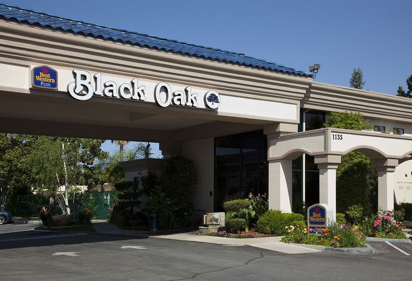Hotel Best Western Plus Black Oak  Paso Robles