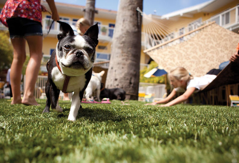 Hotel del Sol  | San Francisco | California | United States 12