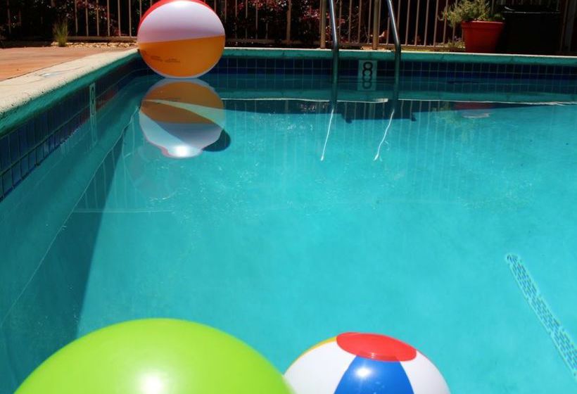 Hotel del Sol  | San Francisco | California | United States 15