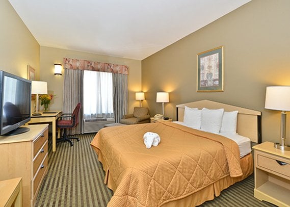 Hotel Comfort Inn & Suites Sacramento  | Sacramento | California | United States 16