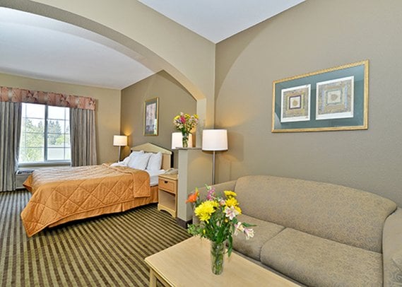 Hotel Comfort Inn & Suites Sacramento  | Sacramento | California | United States 9