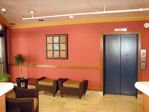 Oasis Inn Hotel San Francisco  | San Francisco | California | Estados Unidos 11