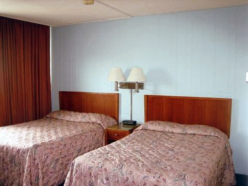 Oasis Inn Hotel San Francisco  | San Francisco | California | Estados Unidos 8