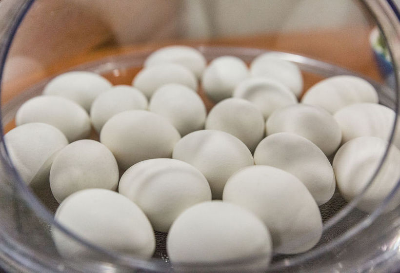 Hotel Aura  | San Bruno | California | United States 14