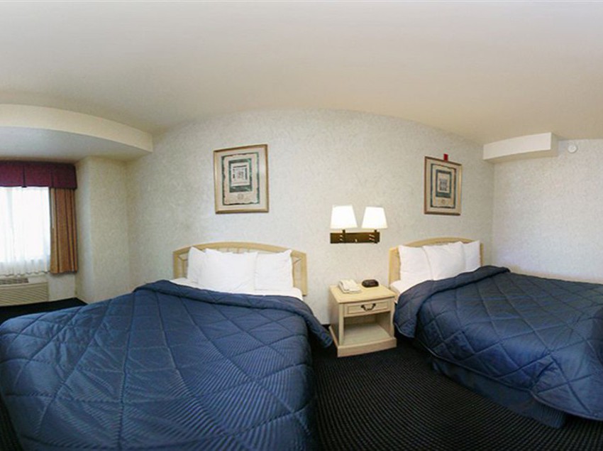 Hotel Comfort Inn San Jose  | San Jose | California | United States 2