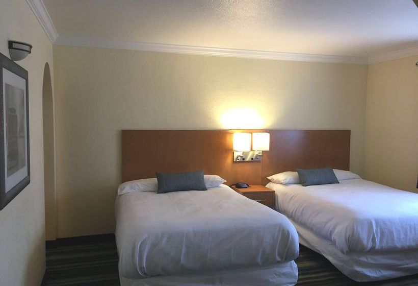 Surf Motel  | San Francisco | California | United States 15