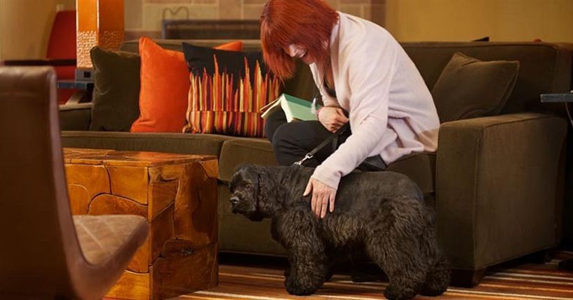 Hotel Larkspur Landing Roseville  | Roseville | California | United States 1