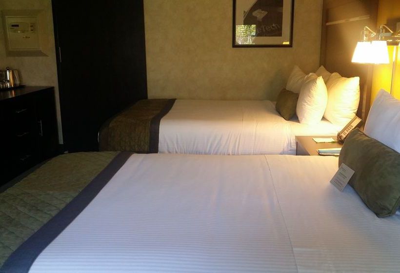 Silicon Valley Hotel San Jose Airport  | San Jose | California | United States 15