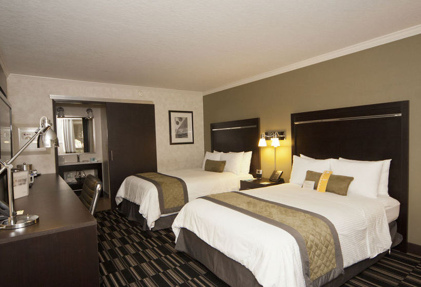 Silicon Valley Hotel San Jose Airport  | San Jose | California | United States 3