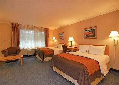 Hotel Comfort Inn Near Santa Monica West Los Angeles  | Santa Monica | California | United States 13