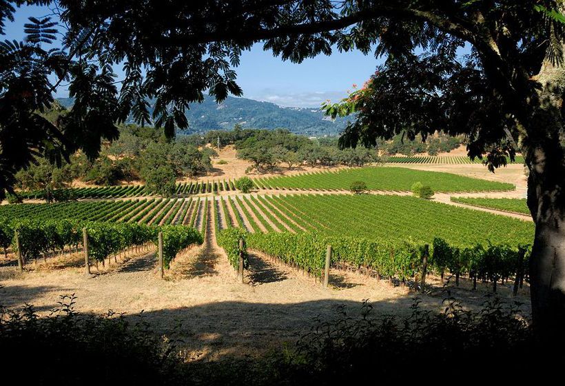 Hotel Yountville Inn  | Yountville | California | United States 3