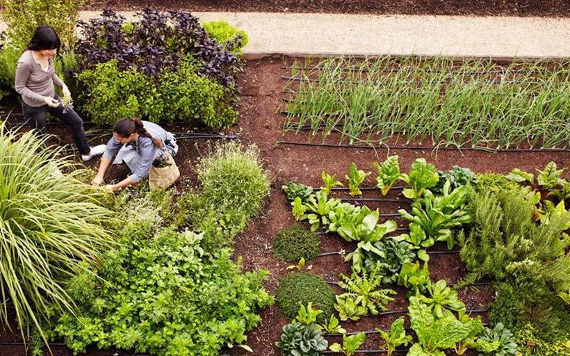 Hotel Bardessono Restaurant Spa Yountville