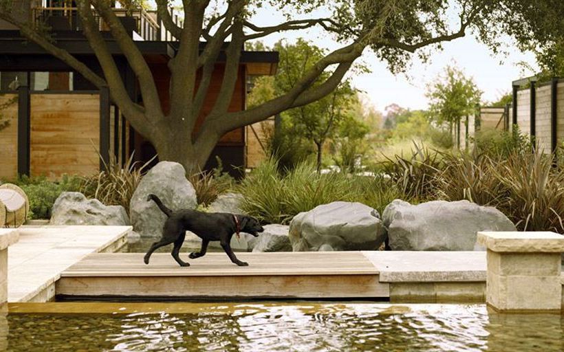 Hotel Bardessono Restaurant Spa  | Yountville | California | United States 1