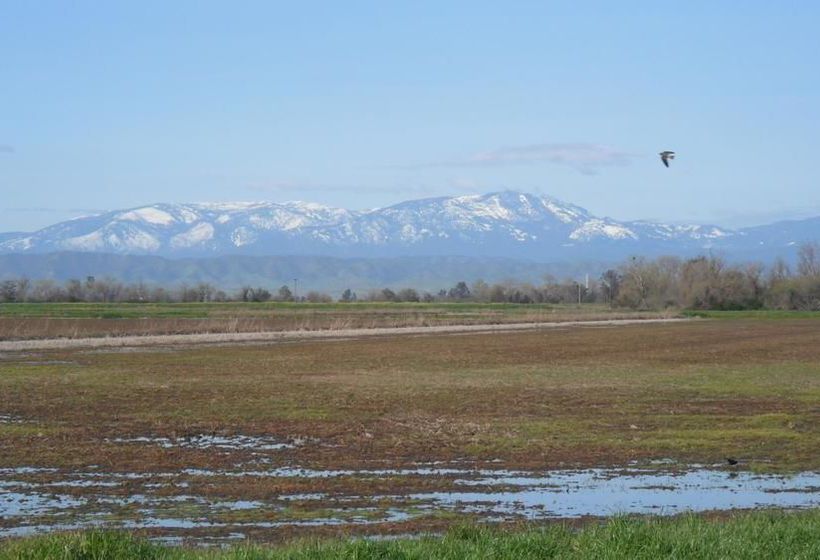 Hotel Days Inn Willows   | Willows | California | United States 11