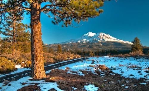 Hotel Days Inn Willows   | Willows | California | United States 19