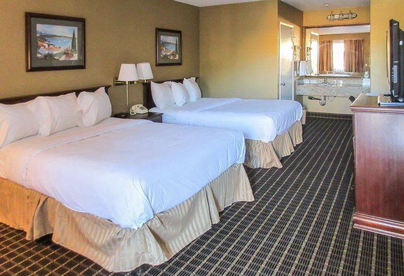 Hotel Knights Inn Westminster Huntington Beach  | Westminster | California | United States 10