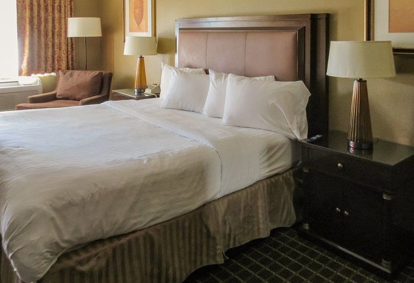 Hotel Knights Inn Westminster Huntington Beach  | Westminster | California | United States 6