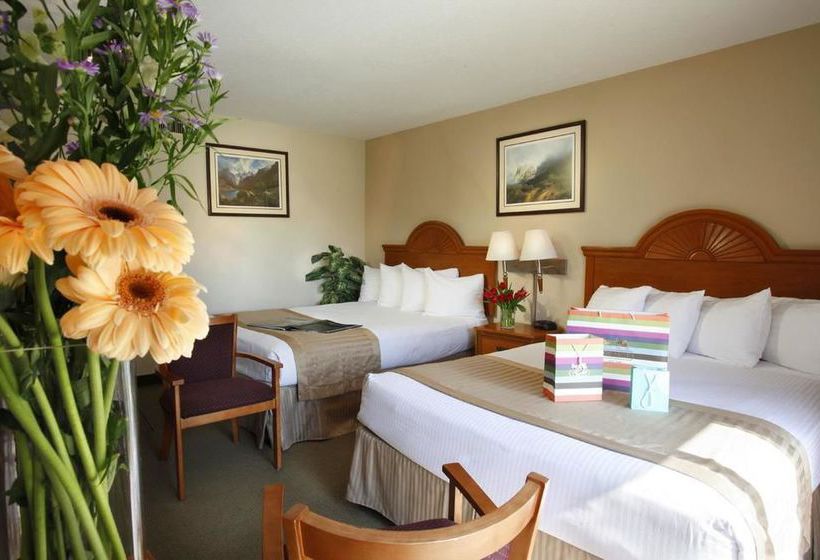 Hotel Best Western Westminster Inn  | Westminster | California | United States 13