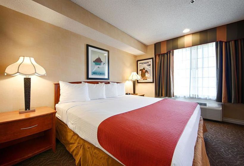 Hotel Best Western Palm Garden Inn  | Westminster | California | United States 3