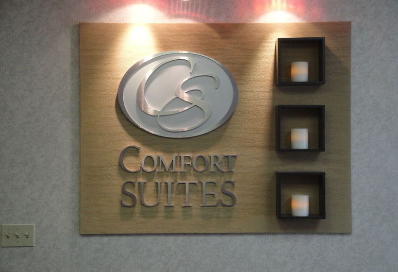 Hotel Comfort Suites  | Victorville | California | United States 3