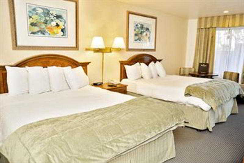 Hotel Courtyard By Marriott Vallejo Napa Valley  | Vallejo | California | United States 3