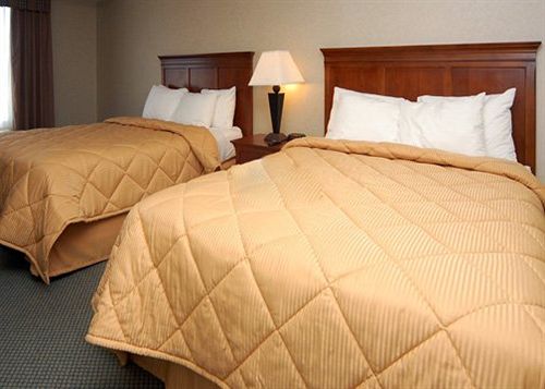 Hotel Comfort Inn Vallejo  | Vallejo | California | United States 2