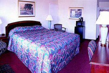 Motel Presidio Inn & Suites  | San Francisco | California | United States 15