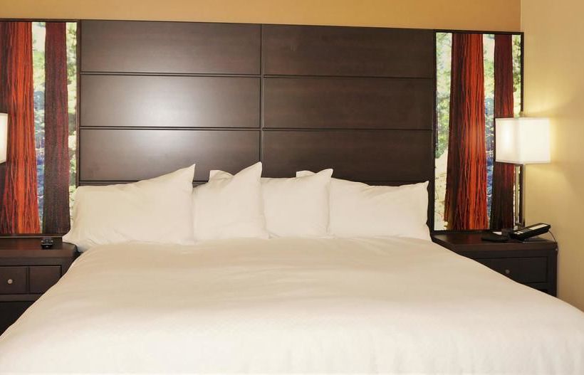 Motel Americas Best Value Inn & Suites Mill Valley  | Sausalito | California | United States 16