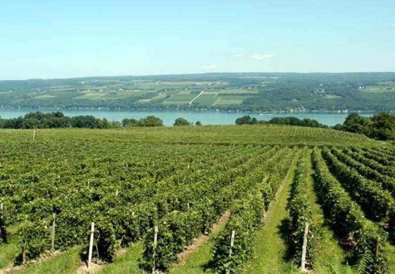 Hotel Fairfield Inn Roseville  | Roseville | California | United States 13