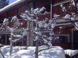 Hotel Holiday Lodge South Lake Tahoe California