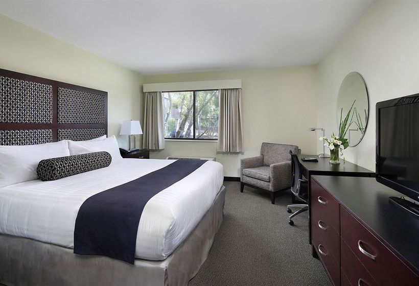 Hotel Maple Tree Inn  | Sunnyvale | California | United States 10