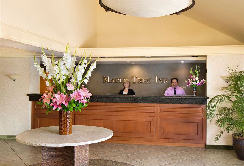 Hotel Maple Tree Inn  | Sunnyvale | California | United States 5